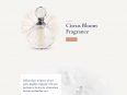 perfumery-product-page-116x87.jpg